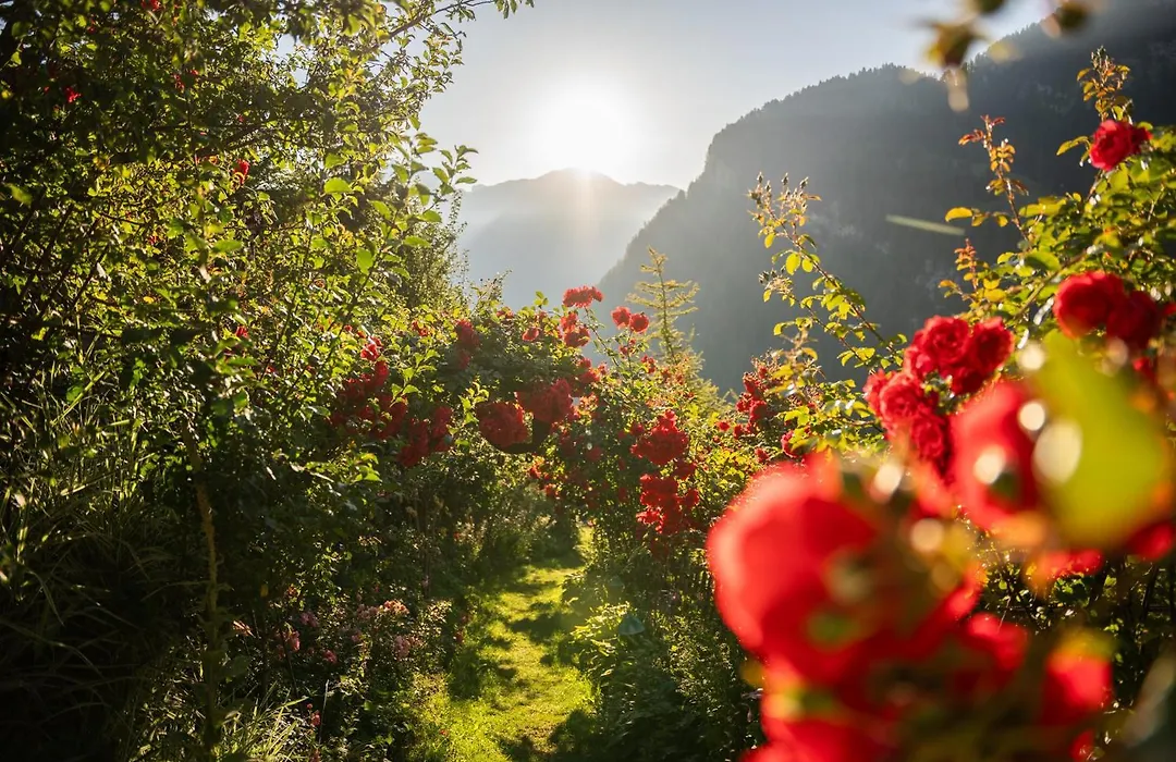 Charmehotel Uhrerhof - Deur-1