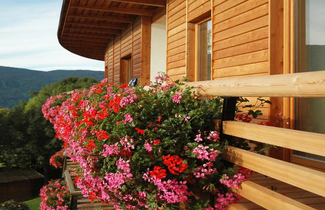 Dolomitenblick Alps Boutique Hotel-1