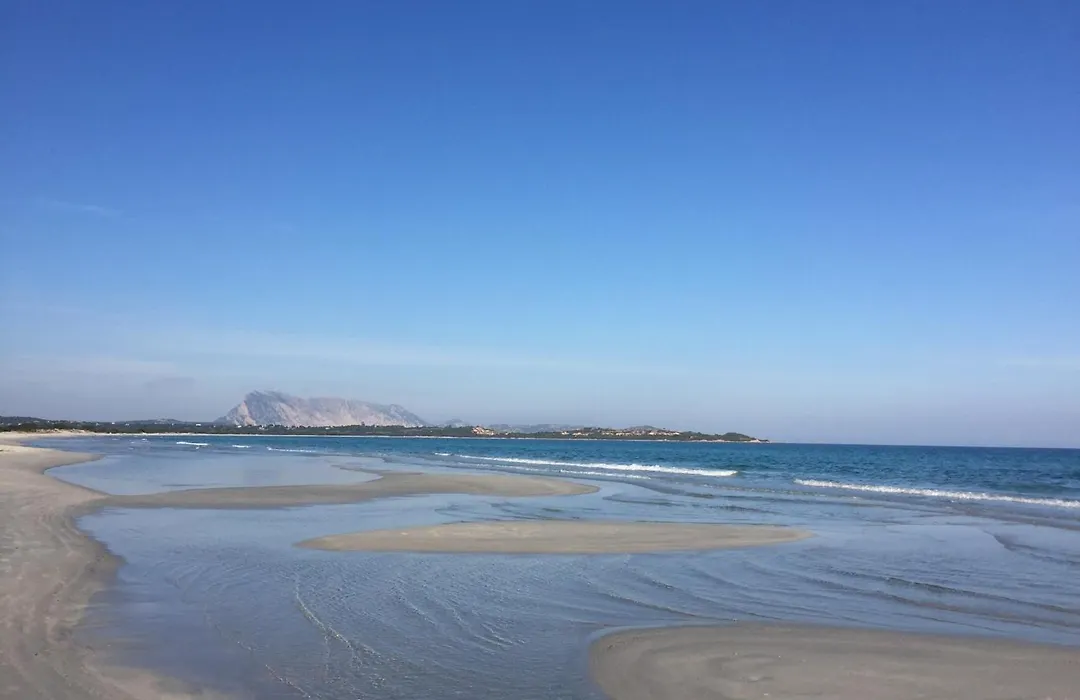 HOTEL Al FARO , SPIAGGIA LA CINTA ,SAN TEODORO-1
