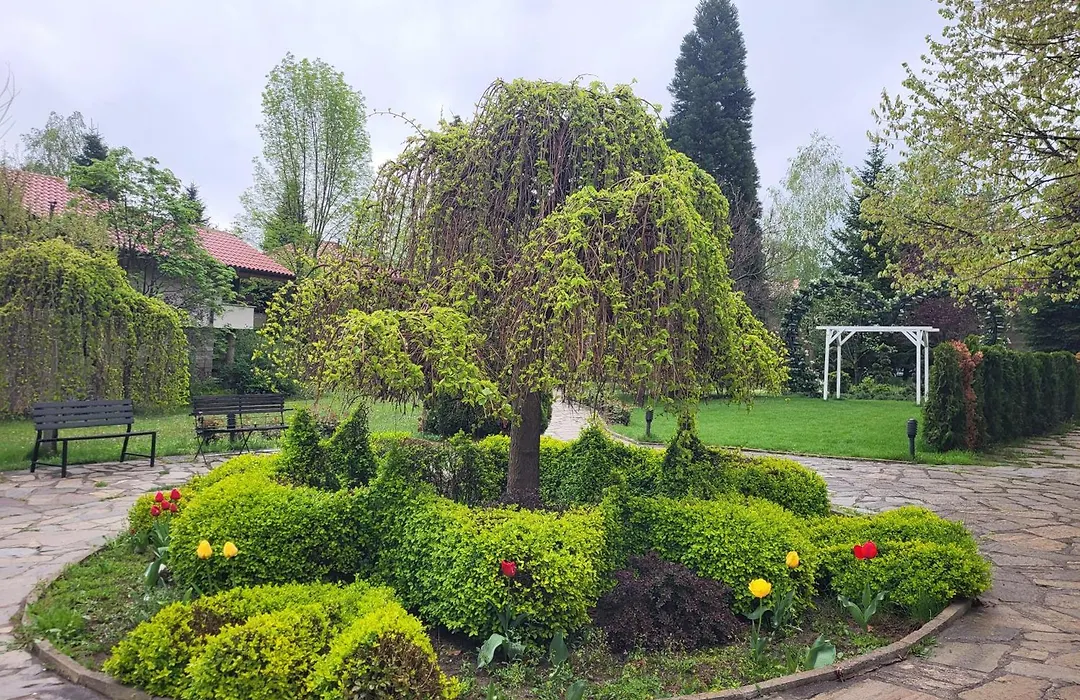 Tsarsko Selo Spa Hotel-1