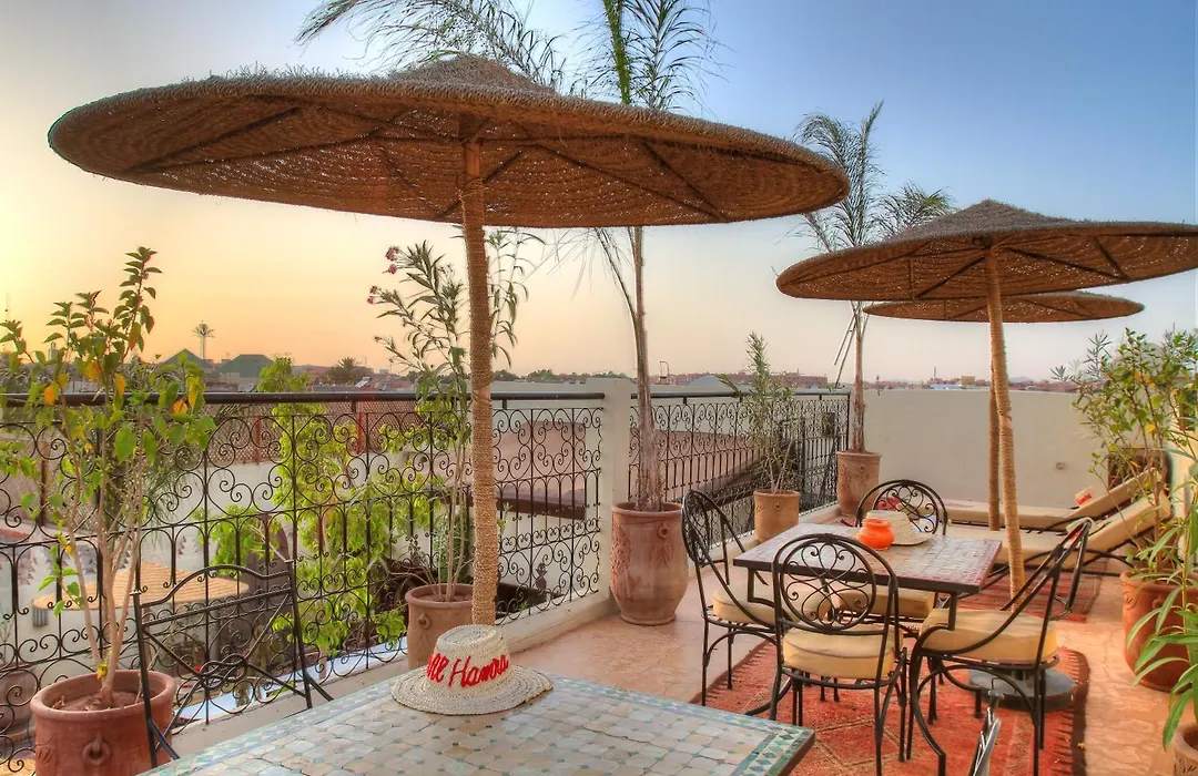 Riad ELIZZI-1