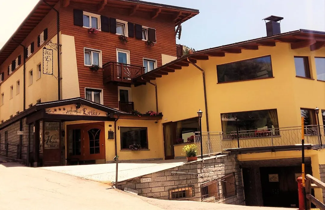 Hotel Erika-1