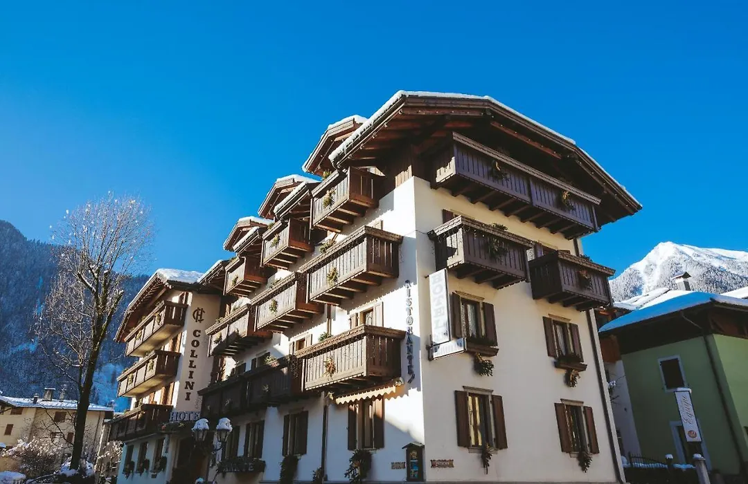 Hotel Collini-1