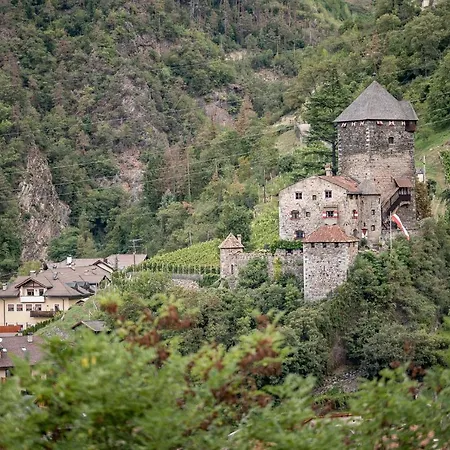 Hotel Rierhof-3