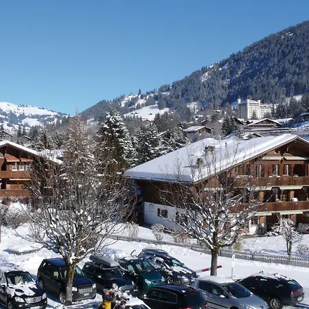 Hotel Arc-En-Ciel Gstaad-3