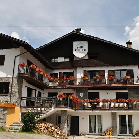 Hotell Millefiori- Alpine Event Lodge-2