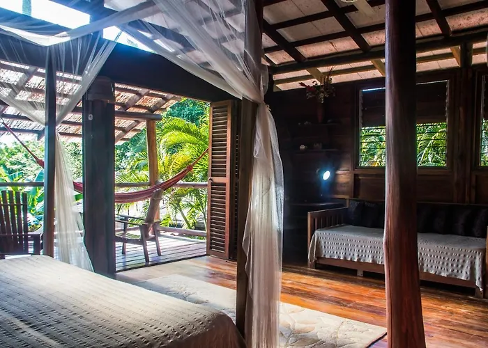 Hotel: Funky Monkey Lodge
