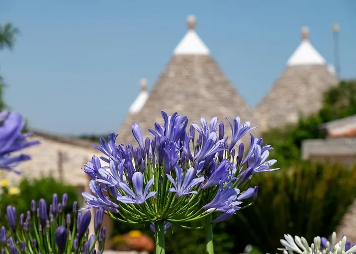 Trulli Oasi Fiorita - Exclusive Apulian Holidays