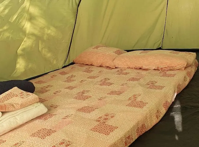 Hotel adatto agli animali: Camping A Selinunte