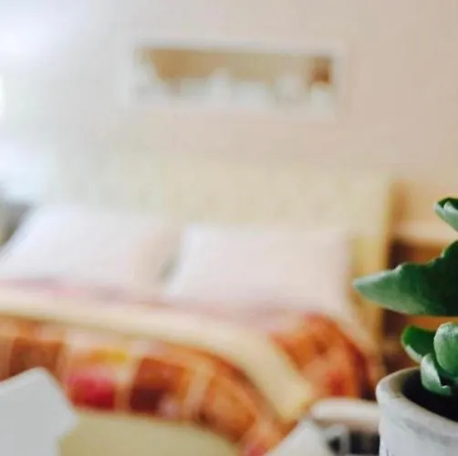 B&B Incentro