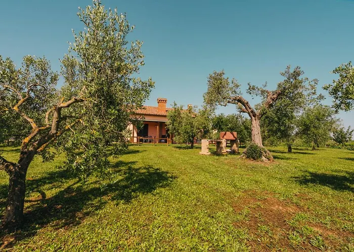 Agriturismo il Laghetto