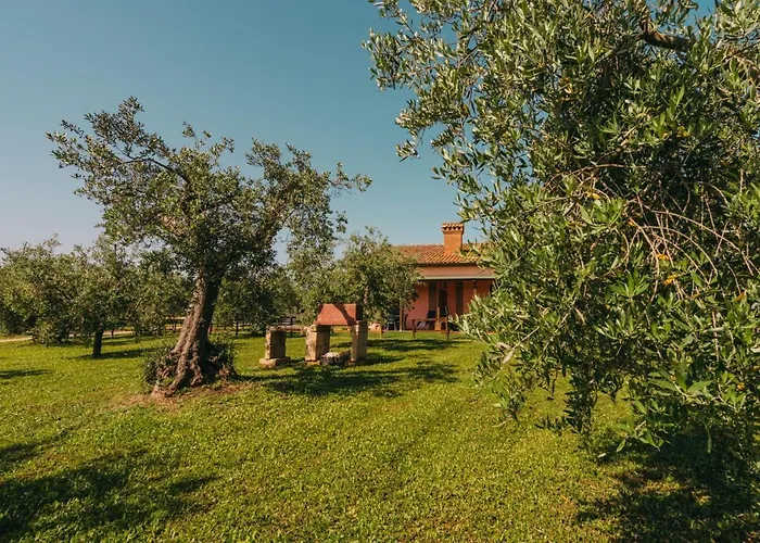 Agriturismo il Laghetto