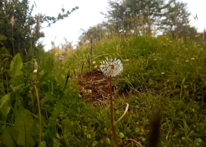 Hotel Tierra Del Fuego