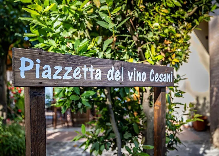  Cesani