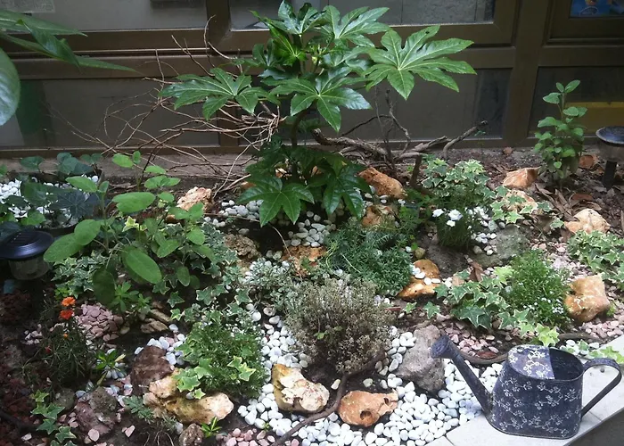 Eco Art Statuto