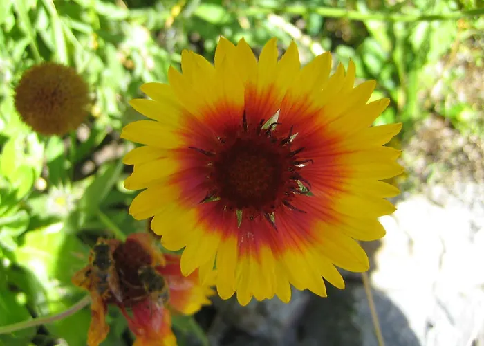 Hotel familiare: Hotel Bambi Am Park