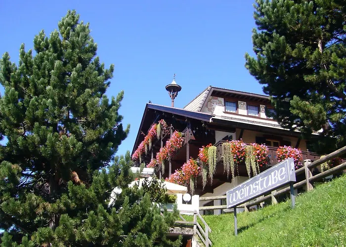 Hotel Ping Pong: Hotel Villa Wilma