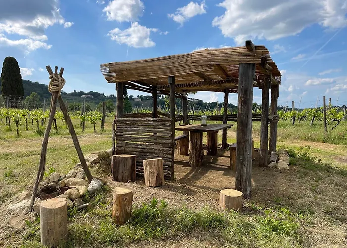 Fattoria Di Pancole