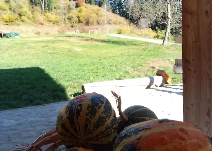 Hotel familiare: B&B Maso Ghirola