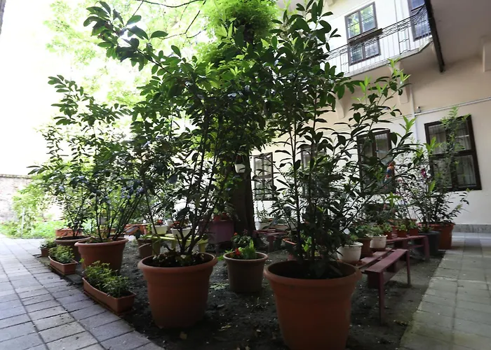 Hotel 3 stelle: Amber Gardenview Studios Downtown