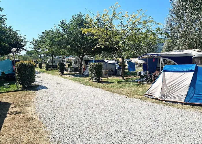 Hotel vicino al College: Camping River