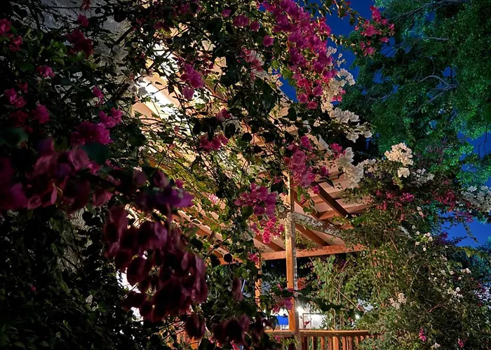 Hotel Jardin Boutique Rodadero