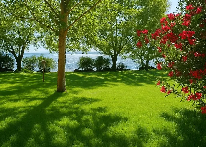 Hotel sulla spiaggia: International Glamping Lago Di Bracciano