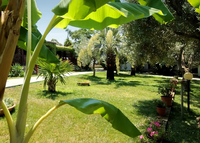 Tonicello Hotel Resort&SPA