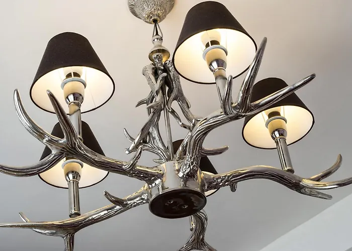 Hotel adatto agli animali: Hotel Elch