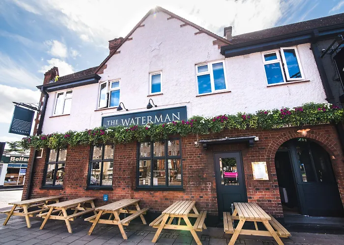 The Waterman