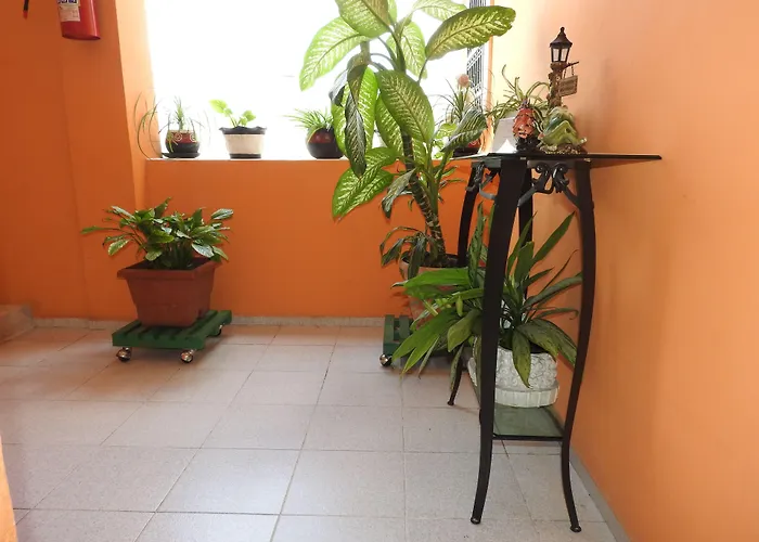 Hotel di lusso: Hotel Casa Mallorca