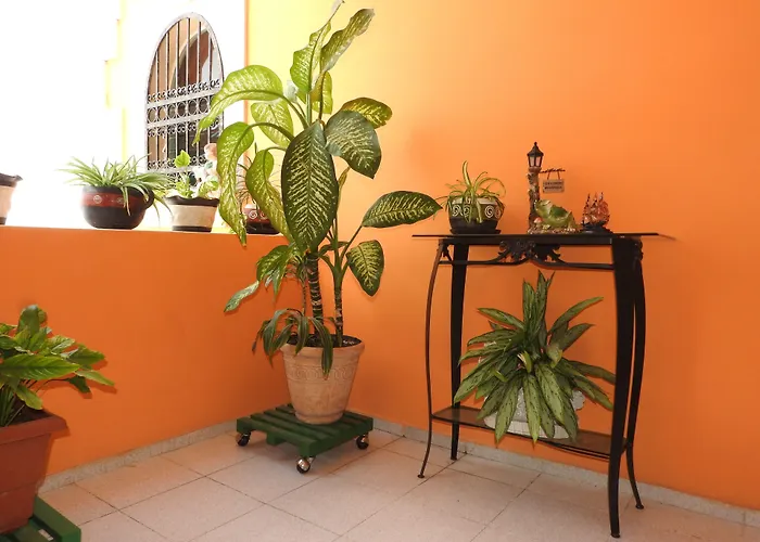 Hotel di lusso: Hotel Casa Mallorca