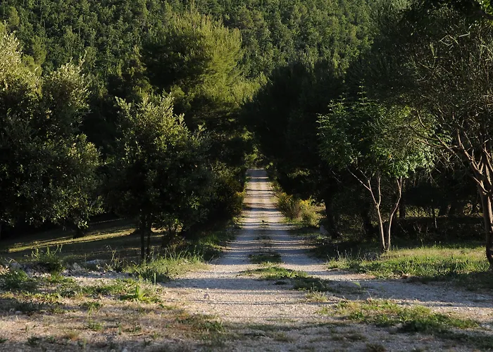 Posto Del Sole