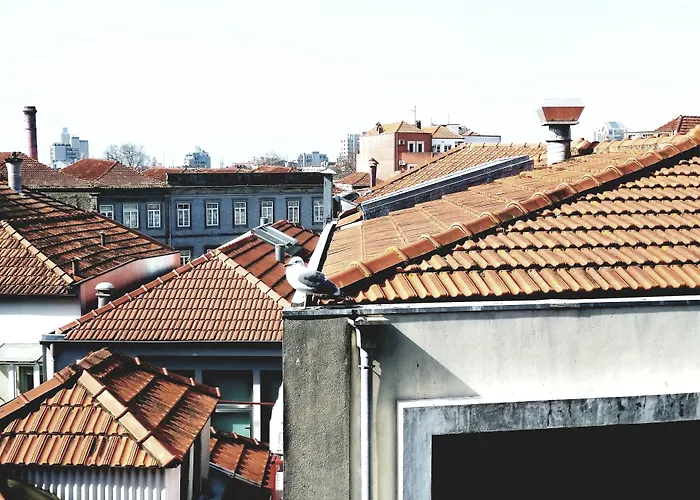 Moon & Sun Porto