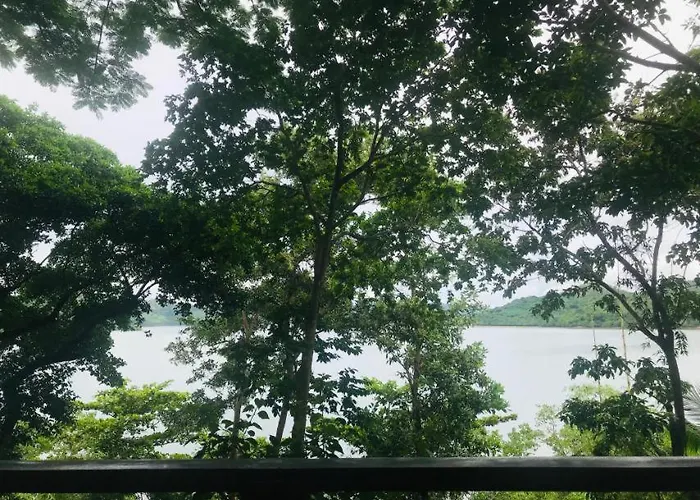 Discovery Island Resort