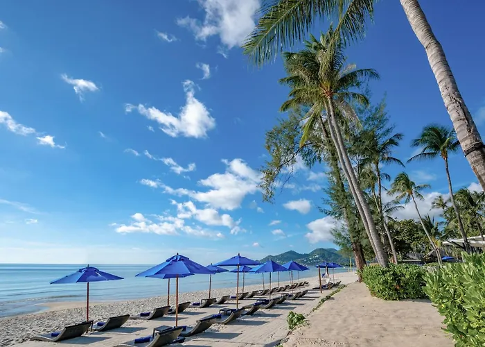 Hotel all'aeroporto: Ozo Chaweng Samui