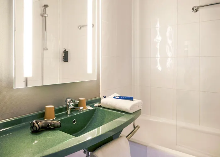 Ibis Arles