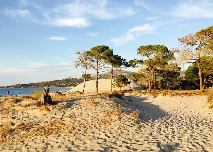 Hotel adatto agli animali: Camping Dolce Vita