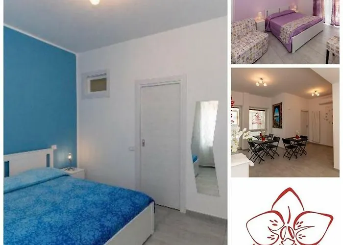  B&B Orchidea